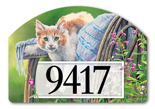 KITTY COOL DOWN MAGNETIC ADDRESS