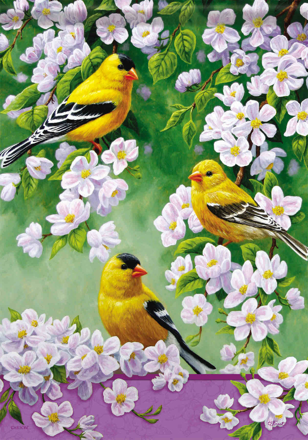 GOLDFINCH BLOSSOMS