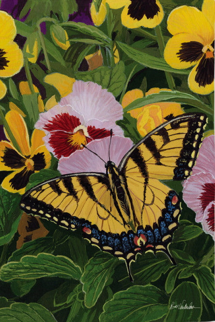 BUTTERFLY & PANSIES