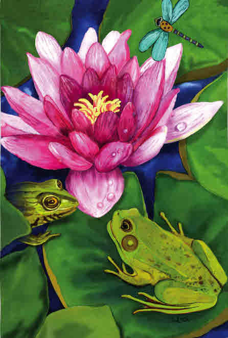 FROG LILY