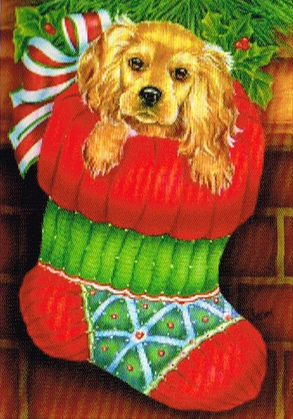 PUPPY IN STOCKING