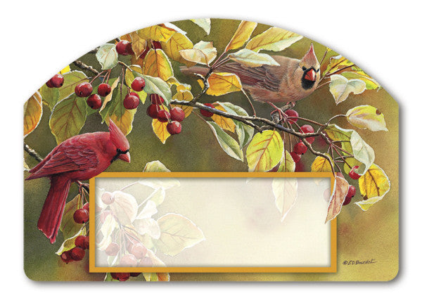 CARDINAL AFTERNOON MAGNETIC ADDRESS