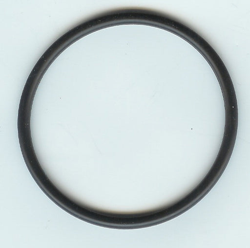 CHLORINATOR UNION CONNECTOR O'RING OLYMPIC